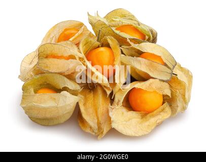 physalis path isolated on white Stock Photo