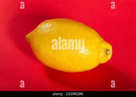 single lemon on red background Stock Photo