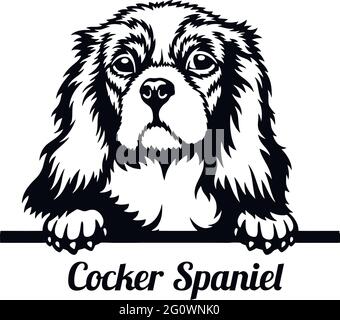 Cocker Spaniel Peeking Dog - head isolated on white - vector stock Stock Vector