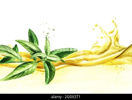 Lemon Verbena Essential Oil Drop Watercolor Hand Drawn Illustration  Isolated On White Background Stock Illustration - Download Image Now -  iStock