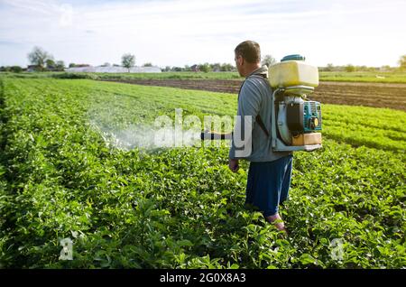 A farmer with a mist fogger sprayer sprays fungicide and pesticide on potato bushes. Protection of cultivated plants from insects and fungal infection Stock Photo