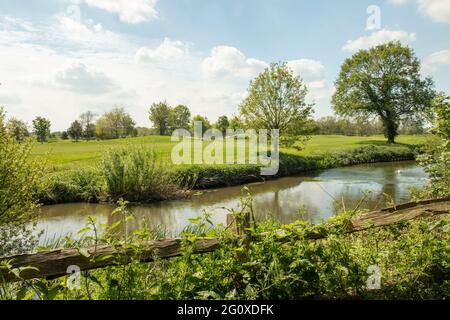 Landscape, fence, river Wey and Wisley golf course in bright Surrey spring sunshine Stock Photo