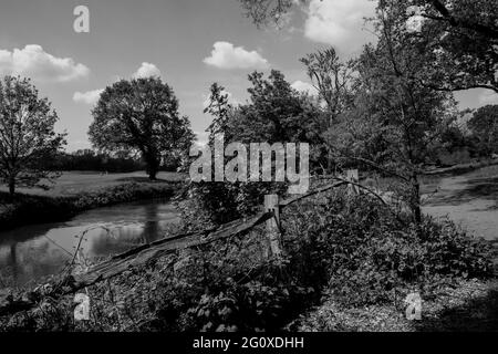 Landscape, fence, river Wey and Wisley golf course in bright Surrey spring sunshine Stock Photo