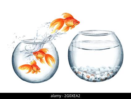 Goldfish. Gold fish jumping out of the small round glass aquarium in the big one. The concept of improvement of living conditions. Watercolor hand dra Stock Photo