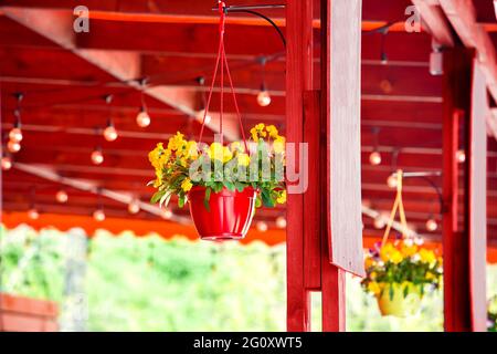hanging flowerpot with blooming flowers in a red wooden gazebo with bulbs decorated terrace of a street cafe with plants close-up. Stock Photo