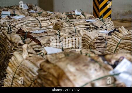 Warehouse of raw cow skins are stored in heaps Stock Photo