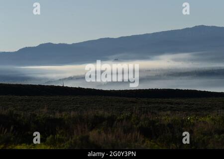 Wildlife animals in Teton National Park Wyoming Stock Photo