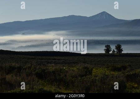 Wildlife animals in Teton National Park Wyoming Stock Photo