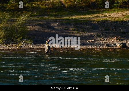 Wildlife animals in Teton National Park Wyoming Stock Photo