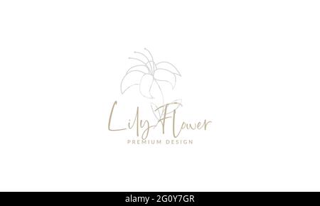 beautiful lily lines flower  logo symbol vector icon illustration graphic design Stock Vector