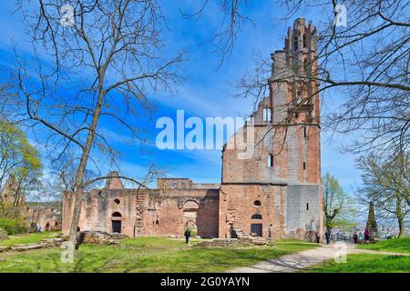 Bad Dürkheim, Germany - April 2021: Front view of ruin of Limburg Abbey in Palatinate fores Stock Photo