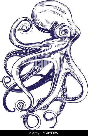 octopus, sea life, hand drawn vector illustration realistic sketch Stock Vector