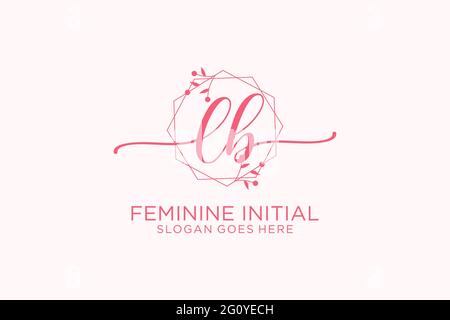 LB beauty monogram and elegant logo design handwriting logo of initial signature, wedding, fashion, floral and botanical with creative template. Stock Vector