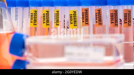 Blood sample from Ebola patient, positive result, conceptual image Stock Photo