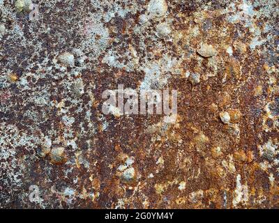 Textured background of shabby metal wall with uneven surface covered with rust and cracks Stock Photo