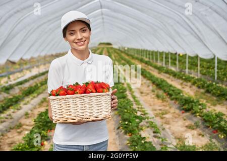 Positive young woman holding wicker basket with ripe strawberries while standing at greenhouse. Female farmer in white cap smiling and looking at camera.  Stock Photo