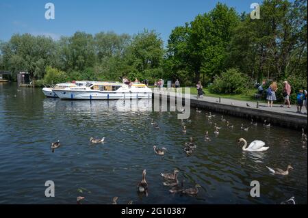 A view of the River Bure Norfolk broads looking from Wroxham Bridge Stock Photo