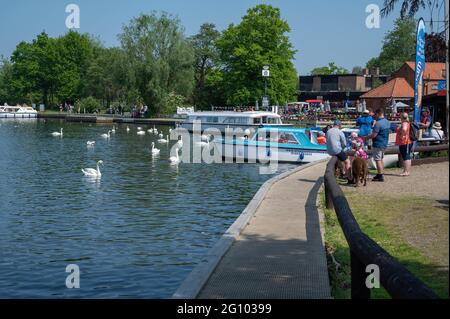 A view of the River Bure Norfolk broads looking from Wroxham Bridge Stock Photo