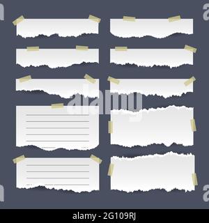 Realistic torn papers set Vector illustration. Stock Vector