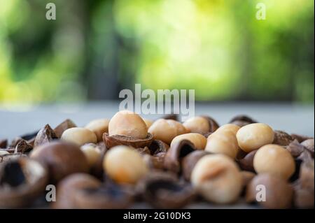 Organic Macadamia nuts and shell on wooden table in the garden Stock Photo