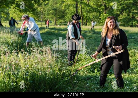 Prague, Czech Republic. 04th June, 2021. People cut down the meadow. Once per year flower meadow in Stromovka park, one of the biggest park in the Prague, is manually mown in order to save folk tradition. Credit: SOPA Images Limited/Alamy Live News Stock Photo