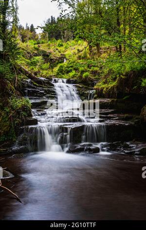 Little waterfall on the way to Blaen y Glyn Isaf Waterfall, Brecon Beacons, Wales, England Stock Photo