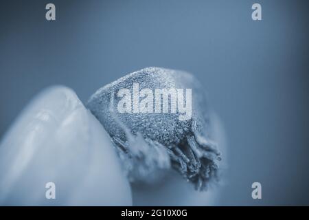 Small object printed on metal 3d printer macro. Stock Photo