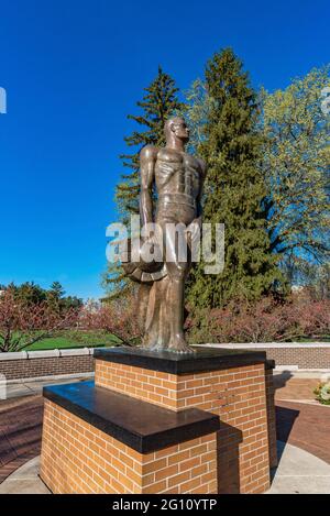 Iconic Sparty statue, the mascot of the MSU Spartans on the campus of MSU Stock Photo