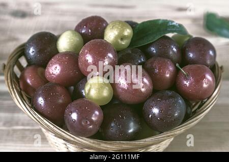 On the wooden table is a wicker basket filled with ripe large plums. Stock Photo