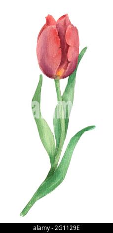 Red watercolor hand drawing in heart shape Stock Photo - Alamy