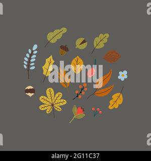 autumn leaves and nuts in flat style Stock Vector