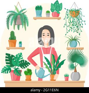 Woman watering and planting houseplants. Green garden and flowers pots at home. Gardening hobby. Taking care of houseplants growing in pots. Flat Stock Vector