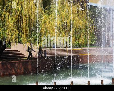 The jets of the fountain beat in the city square against the backdrop of willow tree and a building on a sunny day Stock Photo