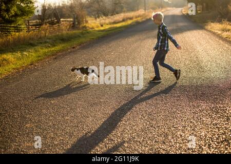 Canada, Ontario, Boy following cat on rural road at sunset Stock Photo