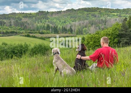 Man with his dog on meadow. Dog on a spring meadow. Weimaraner and Flat coated retriever. Summer trip with dogs. Stock Photo