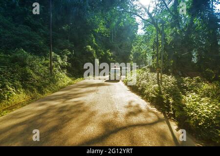 Beautiful road of Sikkim, surrounded by green trees and sunshine coming through the fresh leaves - play of light and shadow on the  concrete road Stock Photo