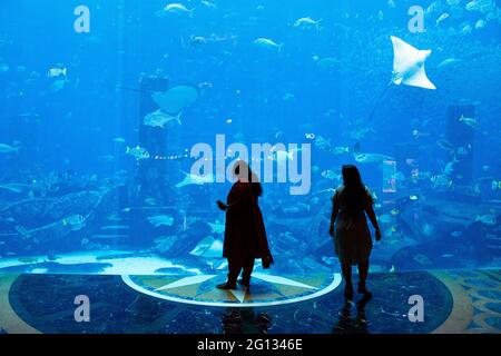 Visitors admiring the fish at the Atlantis luxury resort on Palm Jumeirah, Dubai. 2.Dec. 2018 Stock Photo