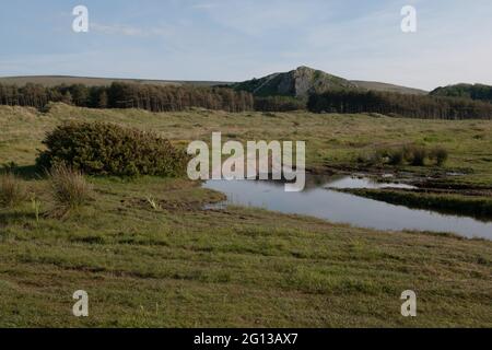 Cwm Ivy Tor, Llanmadoc, The Gower, Wales, UK Stock Photo