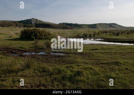 Cwm Ivy Tor, Llanmadoc, The Gower, Wales, UK Stock Photo