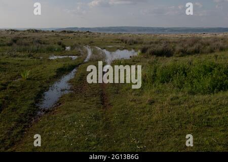 Whiteford Burrows, The Gower, Wales, UK Stock Photo