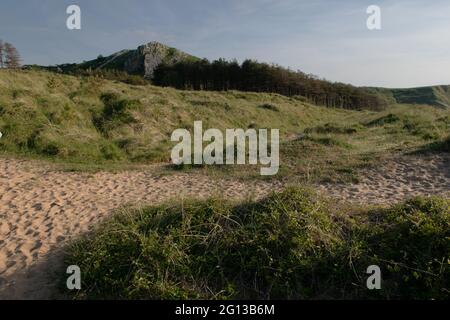 Cwm Ivy Tor, Llanmadoc, The Gower, Wales, UK Stock Photo