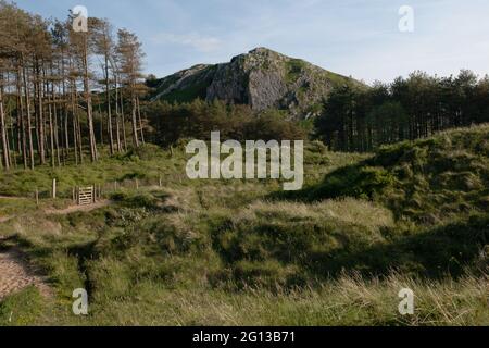 Cwm Ivy Tor, Llanmadoc, The Gower, Wales, UK Stock Photo