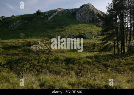 Cwm Ivy Tor, overlooking Whiteford Burrows, The Gower, Wales, UK Stock Photo