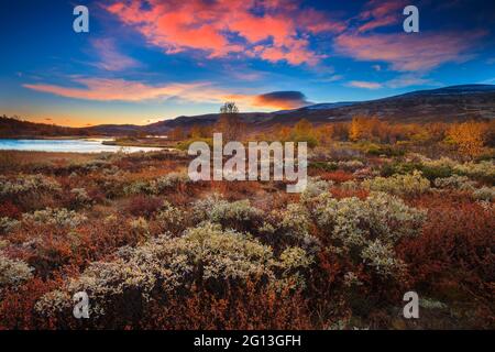 Colorful sunrise and autumn colored foliage near the lake Avsjøen, Dovre, Norway, Scandinavia. Stock Photo