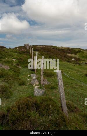 Line of wooden farm fence posts with rusty barbed wire and wire fence going up a hill. Rough, rural landscape with grass, heather and rocks. Sunny Stock Photo