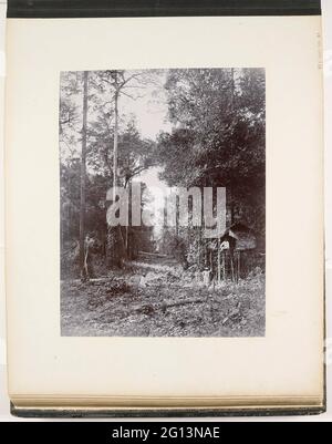 View along a road through the jungle, Sumatra (Aus Dem Urwald). Cutting trees for the construction of a road through the forest, probably at a company in Deli. Part of the Sumatra Photo album by Paul and Lucie Sandel from 1900. Stock Photo