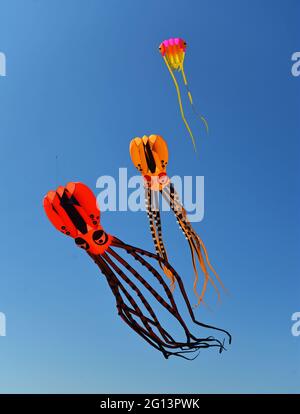 Three Kites Flying on a sunny day  two octopus kites against a blue sky. Stock Photo