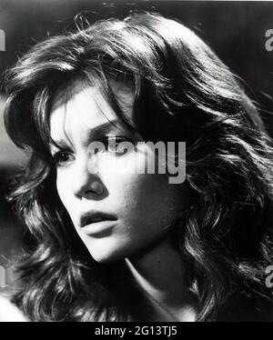 Diane Lane / Rumble Fish 1983 directed by Francis Ford Coppola Stock ...