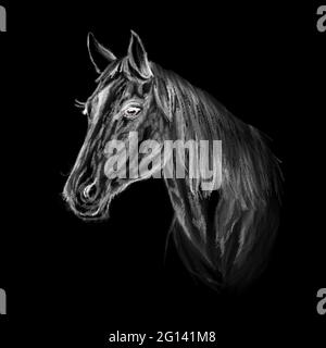 Horse head portrait on black background. Vector illustration of paints Stock Vector