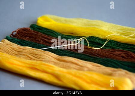 Needle with thread and set of multi-colored cotton threads on gray background. Colorful mouline threads. Set for hand embroidery.  Close-up. Stock Photo